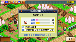 合戦!!にんじゃ村