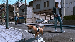 ꡼ No.020 | LOST JUDGMENTۤ줶뵭ץץӥ塼õ塦ȬδǷäƤ ٤ϻˡλѤͤĩ