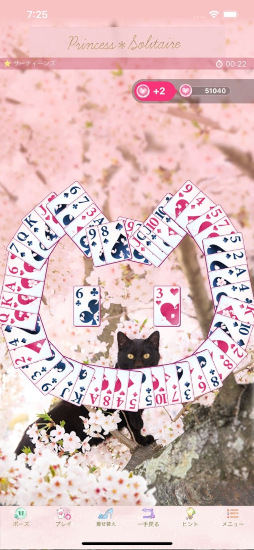 �ץ�󥻥�������ƥ���