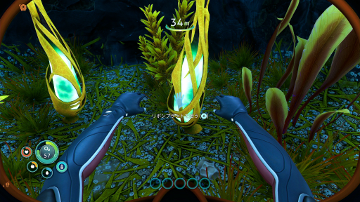 ���������꡼ No.009�Υ���ͥ������ / �֥��֥Ρ��ƥ������ӥ��������ץץ쥤��ݡ��ȡ����٤�ɹ�������ǳ��極�Х��Х롪