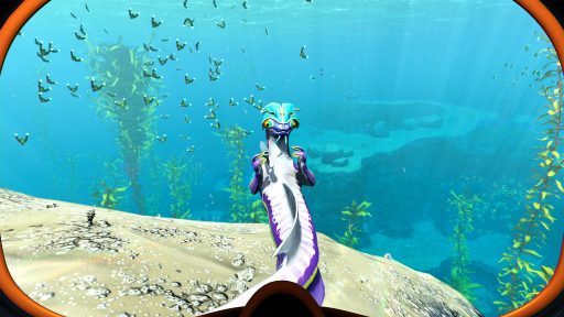 ���������꡼ No.022�Υ���ͥ������ / �֥��֥Ρ��ƥ������ӥ��������ץץ쥤��ݡ��ȡ����٤�ɹ�������ǳ��極�Х��Х롪