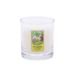 ꡼ No.002 | ֥꡼ɡץꥸʥ륰åPROPELLERˤ