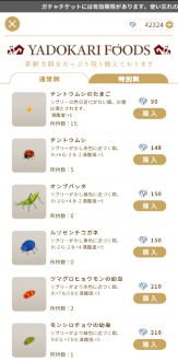 ꡼ No.029 | ⡧꡼ȥեåȢԻ׵ĤʥڥåȤȢǰ֥꡼ɡפ饹դβǤޤ狼ˤʤ뵭