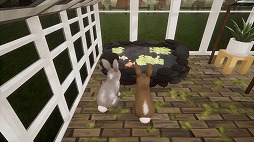 画像ギャラリー No.005のサムネイル画像 / ウサギが温室を管理する「Bunhouse」が2021年9月にリリース。Kickstarterでストレッチゴールを達成した場合はSwitch版も配信予定