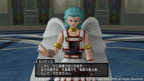 画像ギャラリー No.005のサムネイル画像 / 「ドラゴンクエストX 天星の英雄たち オンライン」,第4の試練場と“ウェディ”の英雄・リナーシェの情報が本日公開