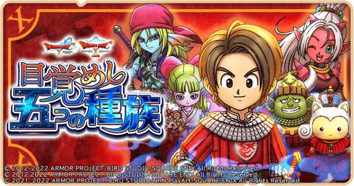 ꡼ No.004 | ֥ɥ饴󥯥Ȥס٥ȡܳФᤷޤĤμ²ɤ̽ͥ륲ҥ塼о