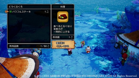 ꡼ No.010 | ֥ɥ饴󥯥XܳФᤷޤĤμ²ե饤ˡµܥ߽ФȤ󤭤󤬤ޡɤҲž󥹥о