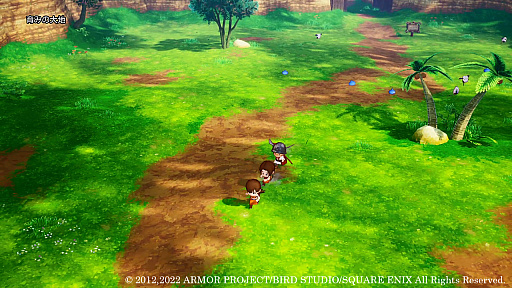 画像ギャラリー No.001のサムネイル画像 / 「ドラゴンクエストX 目覚めし五つの種族 オフライン」,ゲーム冒頭の物語や,出会うキャラクター達の新情報公開