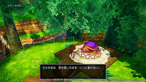 画像ギャラリー No.013のサムネイル画像 / 「ドラゴンクエストX 目覚めし五つの種族 オフライン」,ゲーム冒頭の物語や,出会うキャラクター達の新情報公開