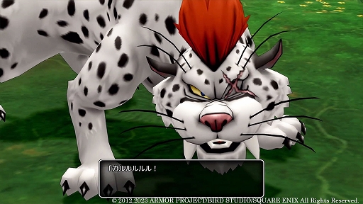 ꡼ No.030 | ֥ɥ饴󥯥X̲ͦԤƳͧե饤סȤʤȥϡɤ䡤ͦɱ륷ʤɤξ󤬸