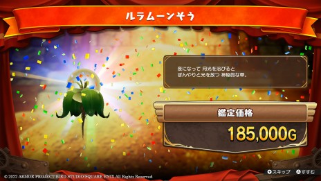 ꡼ No.024 | ֥ɥ饴󥯥 ȥ쥸㡼ƷססŪȤʤȤõɤξܺ٤餫