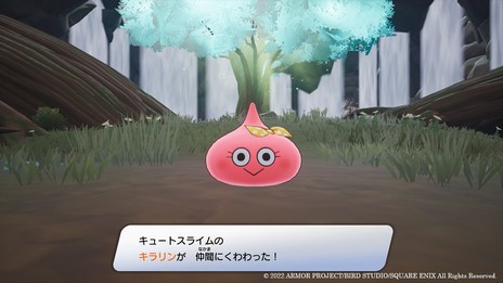 ꡼ No.008 | ֥ɥ饴󥯥 ȥ쥸㡼Ʒסס֥󥹥ǽϡõ󤱤ɤξ