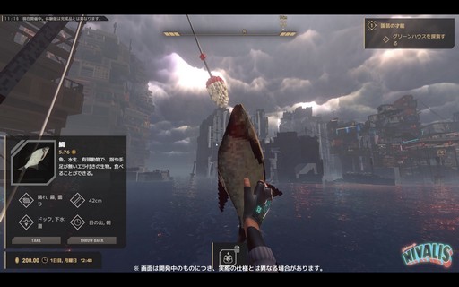 ���������꡼ No.011�Υ���ͥ������ / �Υץ쥤��ݡϥ顼��󲰤���Ϥ�륵���С��ѥ����衣��Nivalis���θ��ǤΥܥ����륢���Ȥ�ɽ�����줿���򻶺����Ƥߤ�