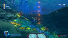 ꡼ No.004Υͥ / ֥˥å顼 ƥåȡסơȥꥦ ѡɤȡȥƥ ɤξ󤬸