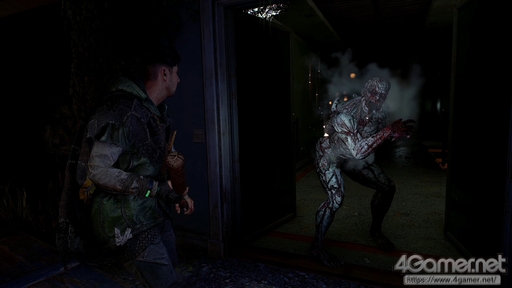 ꡼ No.012 | ֥󥰥饤2 ƥ ҥ塼ޥԥץ쥤õֲʥѥ륯롤͸ĹǤ礭ʲ꡼ǿ