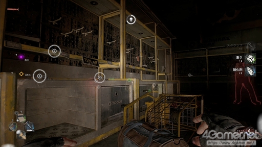 ꡼ No.023 | ֥󥰥饤2 ƥ ҥ塼ޥԥץ쥤õֲʥѥ륯롤͸ĹǤ礭ʲ꡼ǿ