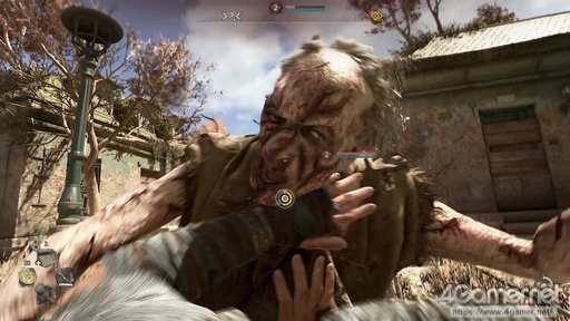 ꡼ No.027 | ֥󥰥饤2 ƥ ҥ塼ޥԥץ쥤õֲʥѥ륯롤͸ĹǤ礭ʲ꡼ǿ