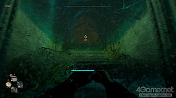 ꡼ No.040 | ֥󥰥饤2 ƥ ҥ塼ޥԥץ쥤õֲʥѥ륯롤͸ĹǤ礭ʲ꡼ǿ