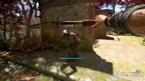 ꡼ No.023 | PR֥ۡ󥰥饤2 ƥ ҥ塼ޥ ͸ǤϤץ쥤ɡԡˡõˡˤäѲʪҲ