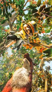 ꡼ No.003 | ֥Хߥ塼ȡס٥ȡȽפɤšեȤ򻣤äTwitterƤ褦