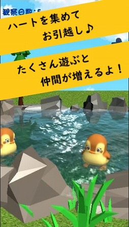 画像ギャラリー No.006のサムネイル画像 / 育成シミュレーション「かもさんぽ 癒しの動物観察ゲーム」のAndroid版が配信開始