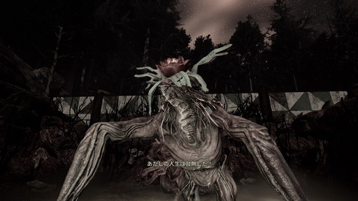 ���������꡼ No.024�Υ���ͥ������ / �Υץ쥤��ݡ����������Ρ����ΥХ�󥹤���Ĥ������Ĥ졣��THE CHANT�פ������ϲ�ʪ��ʹ֤Τɤ���ⶲ������