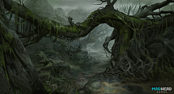 ꡼ No.003 | SFScars Aboveפȯɽꥢ󤦤᤯Ѥǡ̤ΤεѤȯ褦