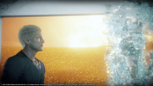 ꡼ No.003 | STRANGER OF PARADISE FINAL FANTASY ORIGINץץ쥤ݡȡ㤷ХȥRPG餷ǤȤ߹蘆ä٥