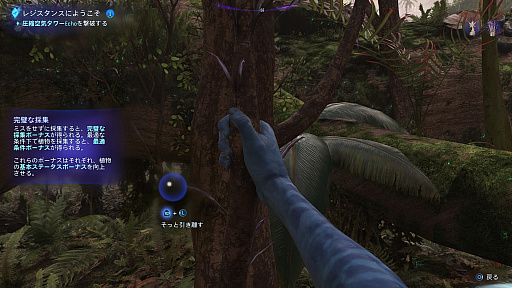 ꡼ No.017Υͥ / Υץ쥤ݡϤΥѥɥפ¸ʬõRDAμ꤫᤻ץɥ֥Хեƥ֡ѥɥ