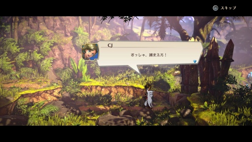 ���������꡼ No.011�Υ���ͥ������ / ���ۿ������Υ��ꥨ�������ƽ�����ɴ��ͺ�� Rising�ץץ�ӥ塼�����ԥ󥪥պ��ʤ�ɴ��ͺ���������������������������뷿���������RPG