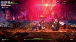 ���������꡼ No.052�Υ���ͥ������ / ���ۿ������Υ��ꥨ�������ƽ�����ɴ��ͺ�� Rising�ץץ�ӥ塼�����ԥ󥪥պ��ʤ�ɴ��ͺ���������������������������뷿���������RPG