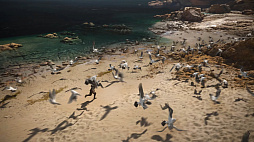 ꡼ No.004Υͥ / A Plague Tale: Requiemפκǿࡼӡˡߥȥҥ塼ĹѤ俷򡤽ϪȤʤ륲ץ쥤ǾҲ