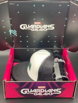 ꡼ No.002Υͥ / Marvels Guardians of the Galaxyפ꡼ۥ饤ֽ°Vtuber3ͤˤ¶ץ쥤ۿ