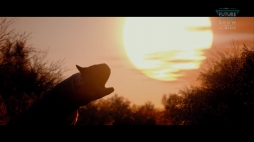 ꡼ No.005 | E3 2021϶εơޤˤХХۥ顼InstinctionפΥȥ쥤顼ǥΥ饤αƶ򴶤롤Ѥ