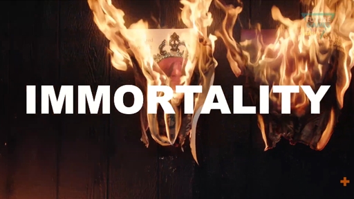 ꡼ No.005Υͥ / E3 2021ϥࡦСοȥϡImmortalityסʥ󥹥ȥ쥤顼