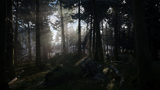 画像ギャラリー No.006のサムネイル画像 / 極寒の地で生存をかけたサバイバルを繰り広げる,「Winter Survival」のデモ版公開。近日中にアーリーアクセス版をリリース