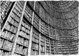 ���������꡼ No.002�Υ���ͥ������ / ��FerretDance���ۿ����ϡ��ե���åȤ��٤륢�ץ�