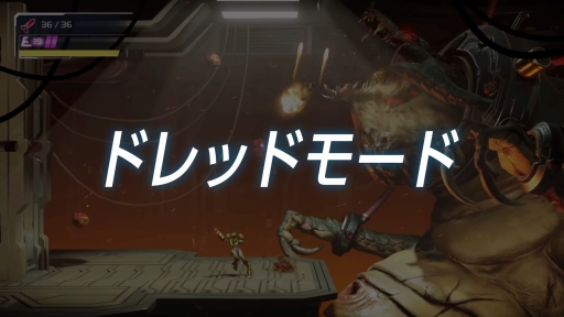 ꡼ No.007 | ֥ȥ ɥåɡפ̵åץǡȤǡȵˤι١ɤΥɥåɥ⡼ɤȽ鿴ԸΥ롼⡼ɤɲ