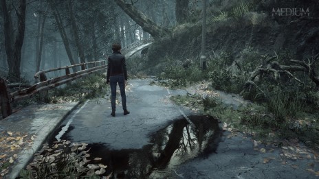 ꡼ No.018 | PS5ǡThe Medium --פκǿȥ쥤顼 륫ǥ쥤᤬ڶʤ꤬