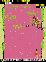 ꡼ No.004 | EGRET II miniס쥤ե˥ʤ10μϿȥ뤬˸ZUNTATA NIGHTǤý