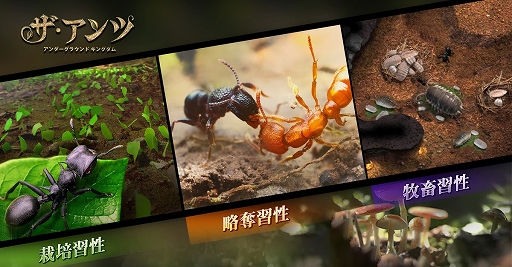 ザ・アンツ：アンダーグラウンド キングダム」の作品概要が公開に