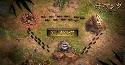 ꡼ No.006 | ֥ġ饦 󥰥פκʳפ