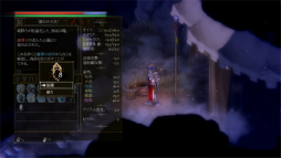 ꡼ No.010 | 2D饤Salt and Sacrificeץץ쥤ݡȡɴϢƥκˤꡤʲɥ󤬳ڤ