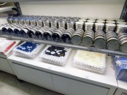 ꡼ No.020 | ַ Ρץ󥹤ޤâ MAJI LOVE KINGDOM MEMORIESեȥݡȡ饤֤λפФ򿶤֤