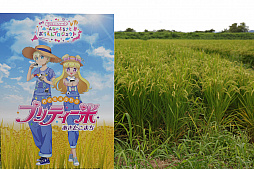 ꡼ No.006 | ֥åץޥסޥܥΥ㥹Ȥȯɽ˥о줹ȥȤɤͥϰƣʷä