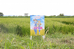 ꡼ No.007 | ֥åץޥסޥܥΥ㥹Ȥȯɽ˥о줹ȥȤɤͥϰƣʷä