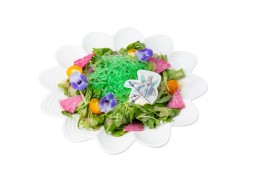 ꡼ No.036 |  ECHOES of MANAפΥܥե1029˳ϡȥ졼ԡɸԤۿ