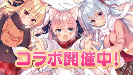 ꡼ No.003 | ֵ ᥷ פΥӥϡ֥ܥۤΰץܤȥ˥塼륭ڡ򳫺