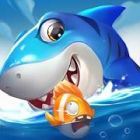 �ѥå�����