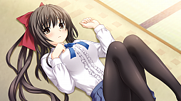 ꡼ No.005 | ֤ϥꥱ PortableפθǤۿSwitchDLǤͽդ10󥪥դǥ